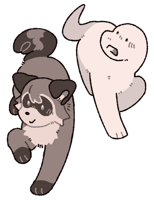 Heidi and Orpheus walk together